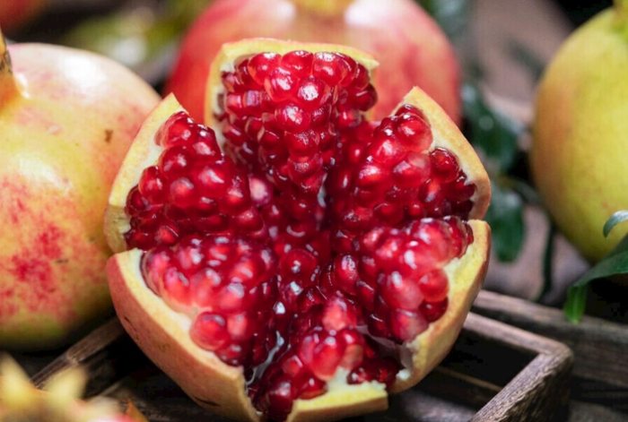 石榴樹苗病蟲害防治