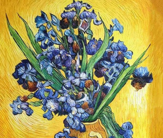 梵高花卉画作 梵高花卉画作