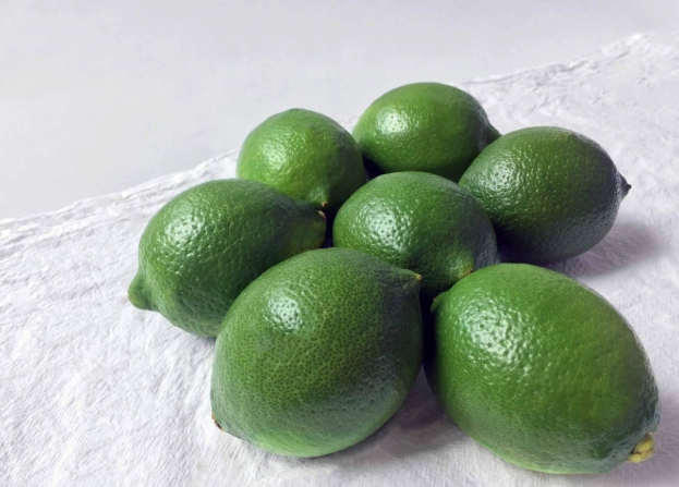 檸檬樹施肥時機