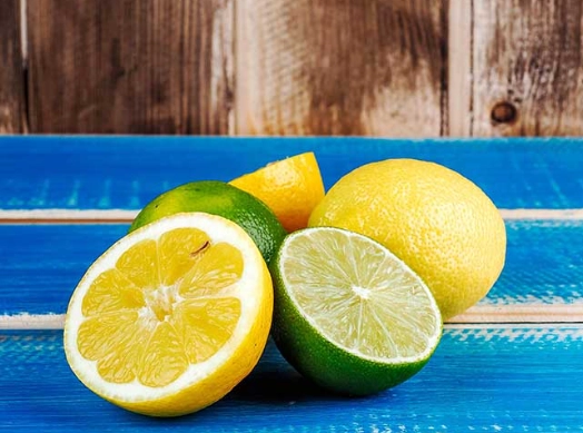 檸檬不結果原因