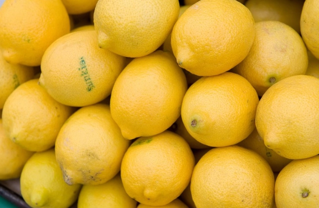 檸檬不結果原因