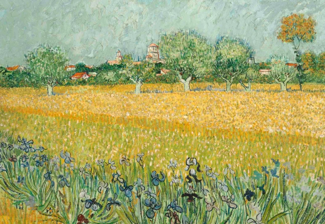 梵高花卉画作 梵高花卉画作