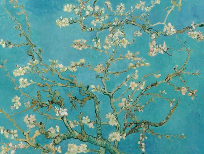 梵谷艺术赏析 梵谷艺术赏析