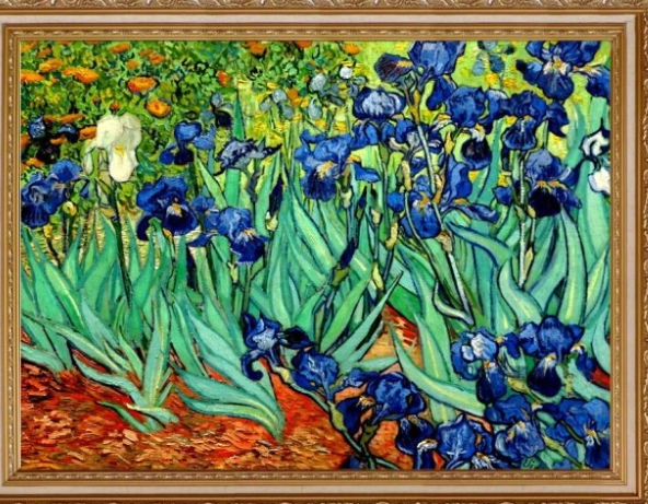 梵谷艺术赏析 梵谷艺术赏析