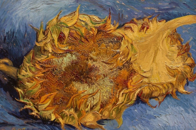 梵高花卉画作 梵高花卉画作