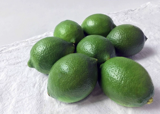 檸檬不結果原因