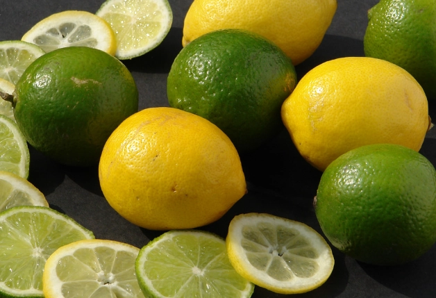 檸檬種子發芽時間