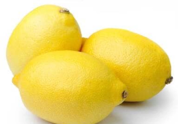 檸檬種子發芽時間