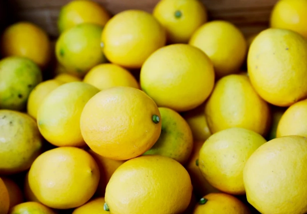 檸檬種子怎麼種