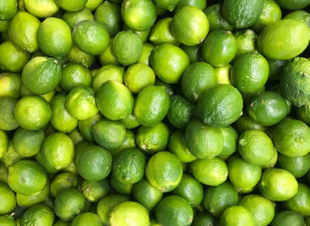 檸檬樹施肥時機