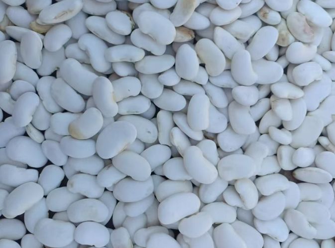 白芸豆健康益處