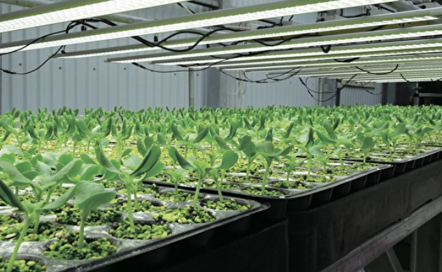 有機水耕營養液推薦