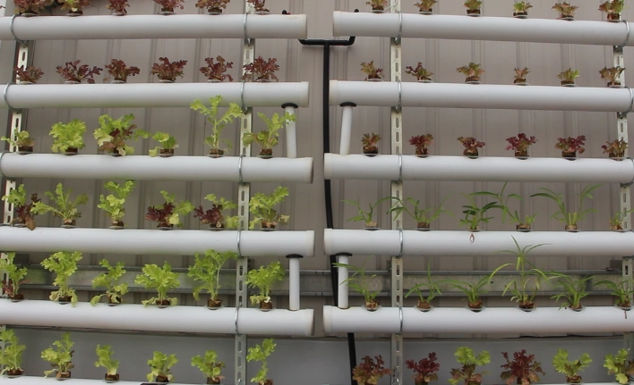 水耕栽培有機營養液