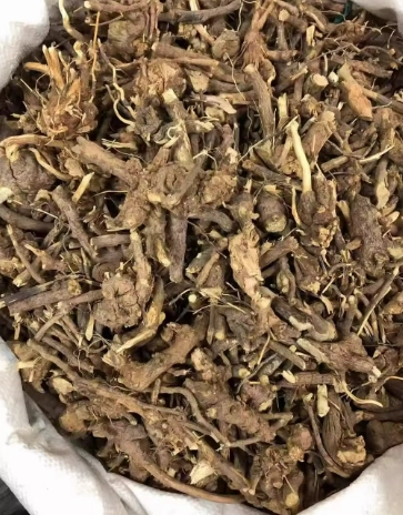 飛天蜈蚣草用法 飛天蜈蚣草用法