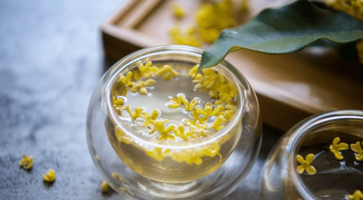 桂花菊花茶泡法 桂花菊花茶泡法