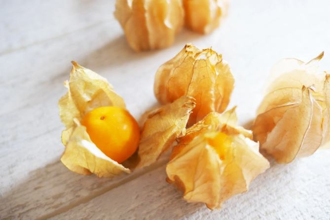 燈籠果栽培方法