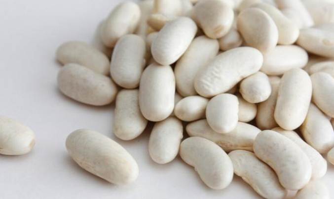 白芸豆減重