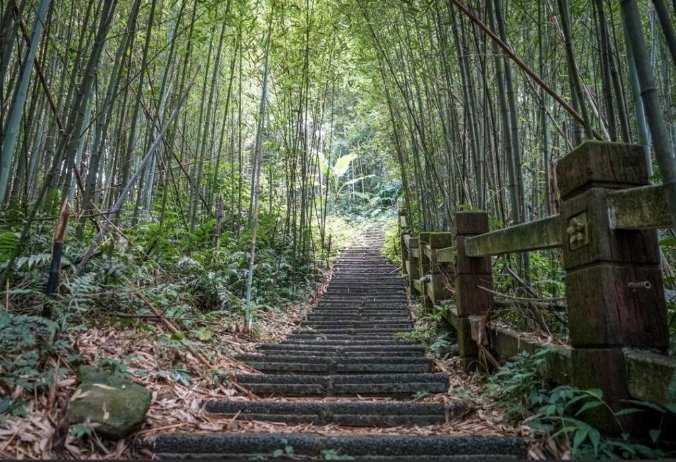 台灣山林步道