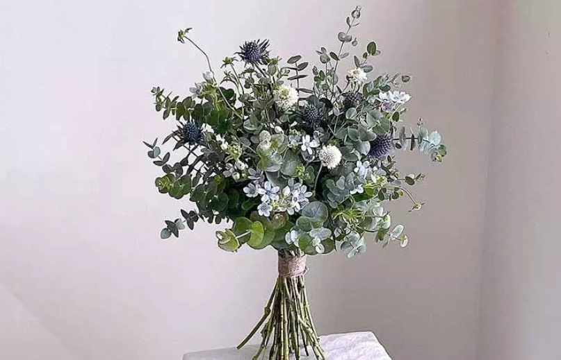 藍冰尤加利病蟲害