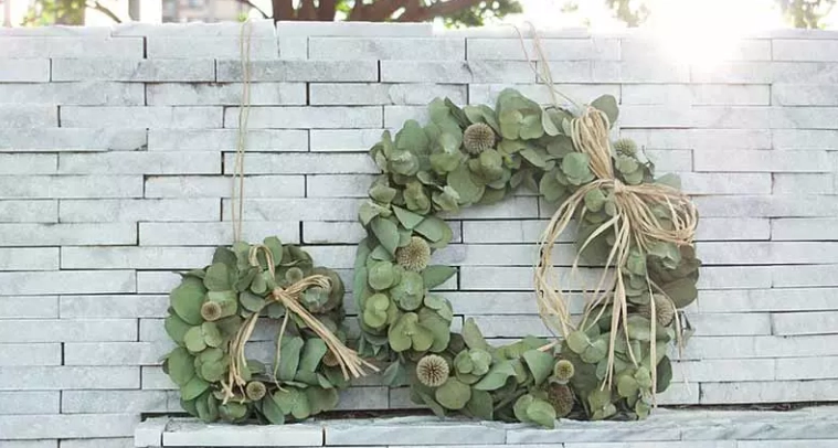 盆栽植物照顧 盆栽植物照顧