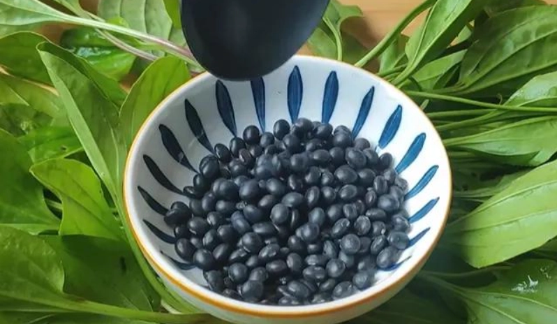 車前草黑豆湯做法
