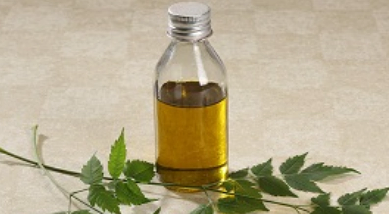 印度苦楝樹好處