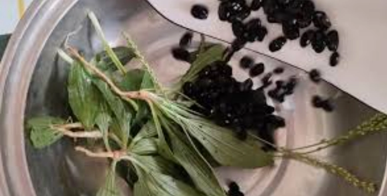 黑豆車前草利尿