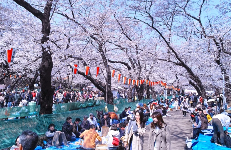 東京賞櫻最佳地點