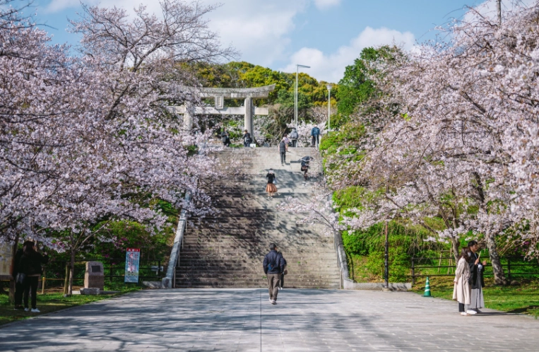 福岡賞櫻最佳時間