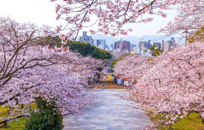 福岡櫻花景點推薦