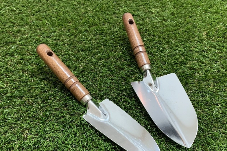 多肉植物移植技巧