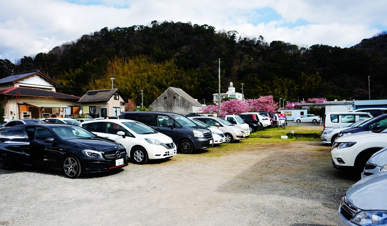 台灣河津櫻景點