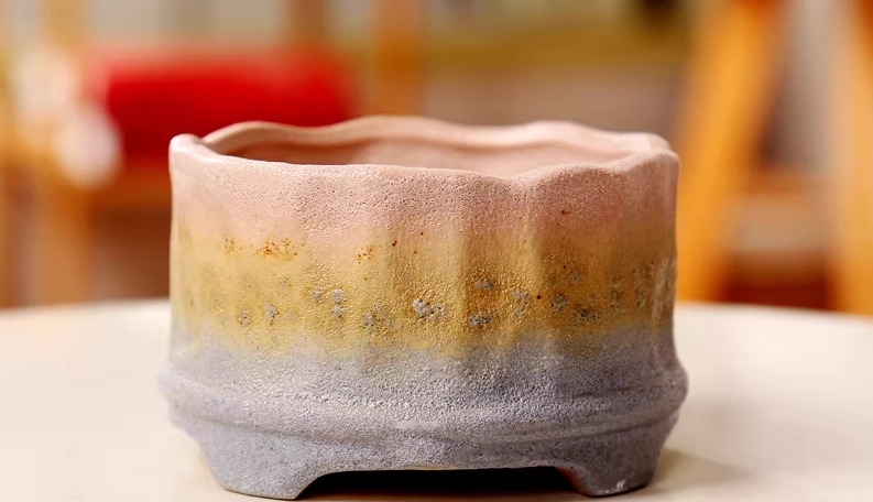 黃鐘花種植方法