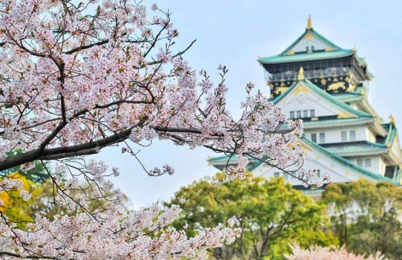 名古屋櫻花季節