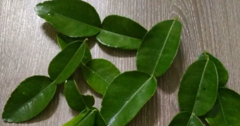 檸檬葉功效