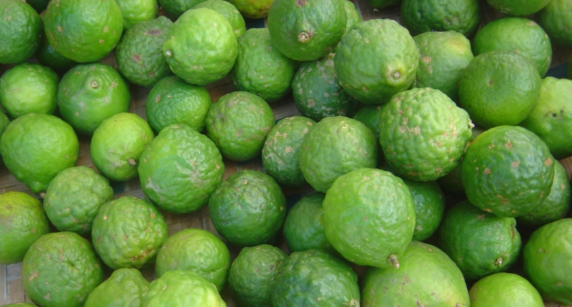 馬蜂橙精油 使用 方法