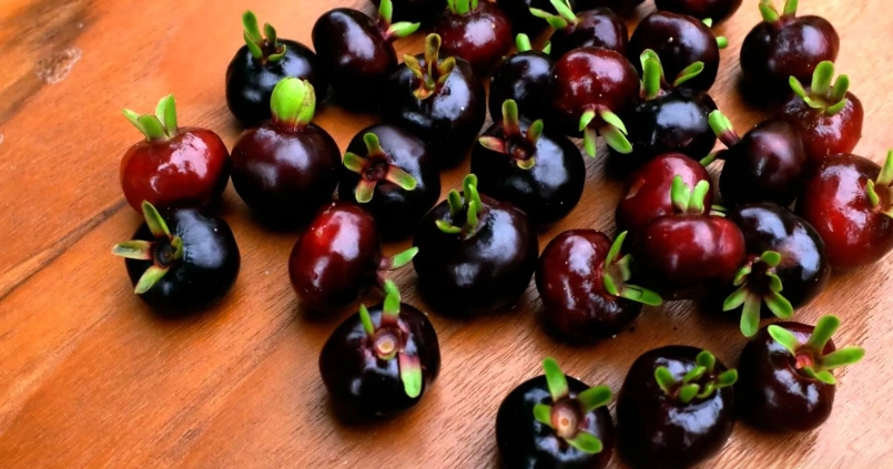 巴西櫻桃怎麼吃